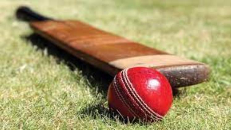 The Future of Online Cricket Games: Indibet App’s Innovations